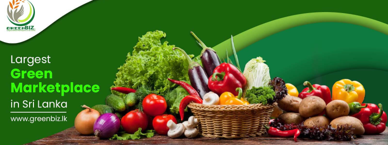 GreenBiz store banner