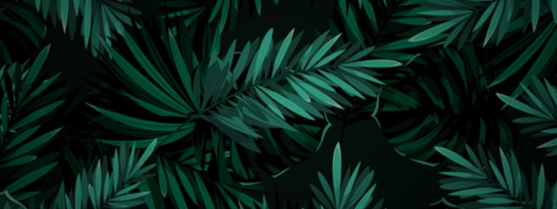 Crazy Dealers store banner