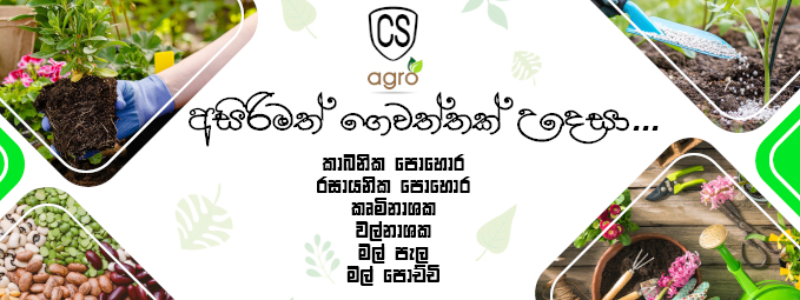 CS Agro store banner