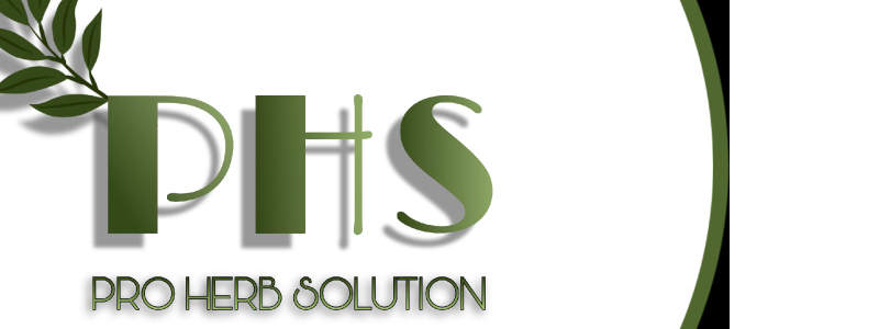 Herb cosmetics store banner