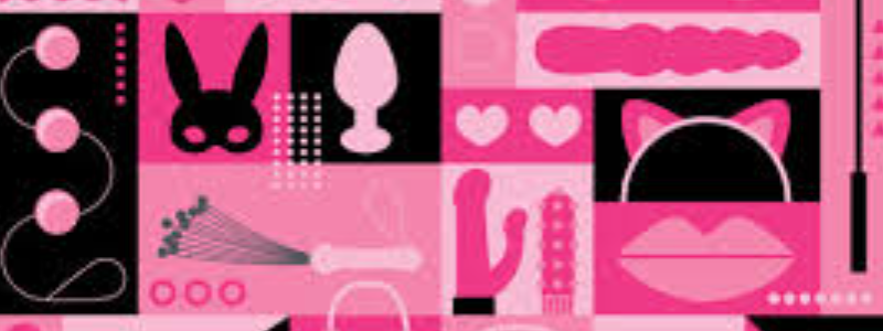 Toy Lanka store banner