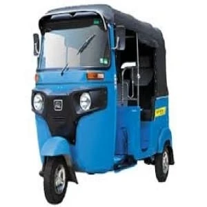 Square  genuine Three wheeler side mirrors set