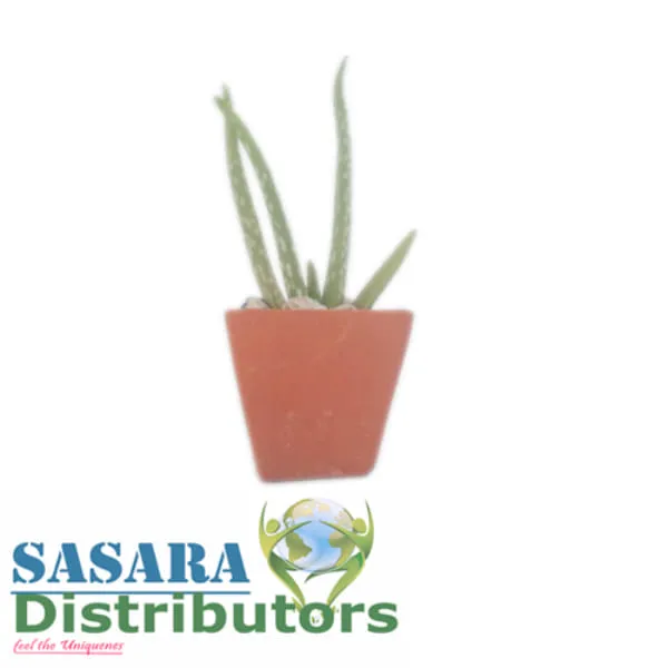 Clay Square Mini Flower Pot 05 pcs - image 3