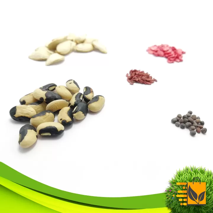 Premium Quality Vegetable Seeds 20 Random Packets - image 6