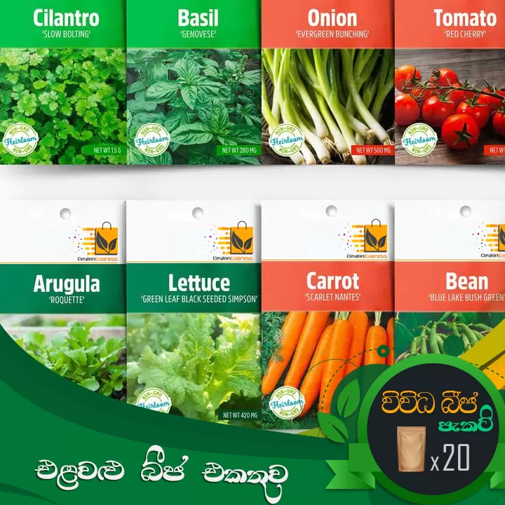 Premium Quality Vegetable Seeds 20 Random Packets