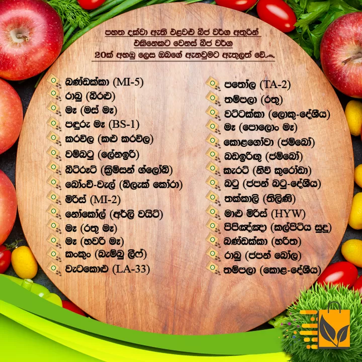 Premium Quality Vegetable Seeds 20 Random Packets - image 4