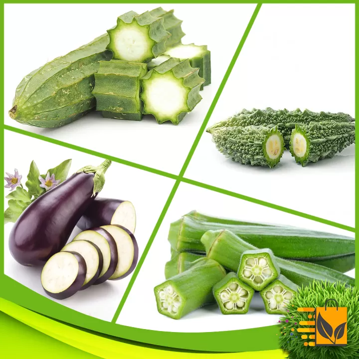 Premium Quality Vegetable Seeds 20 Random Packets - image 8