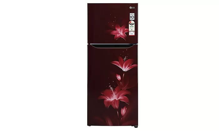 LG Refrigerator 260L - Scarlet Dazzle