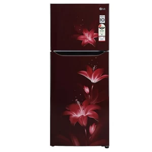 LG Refrigerator 260L - Scarlet Dazzle