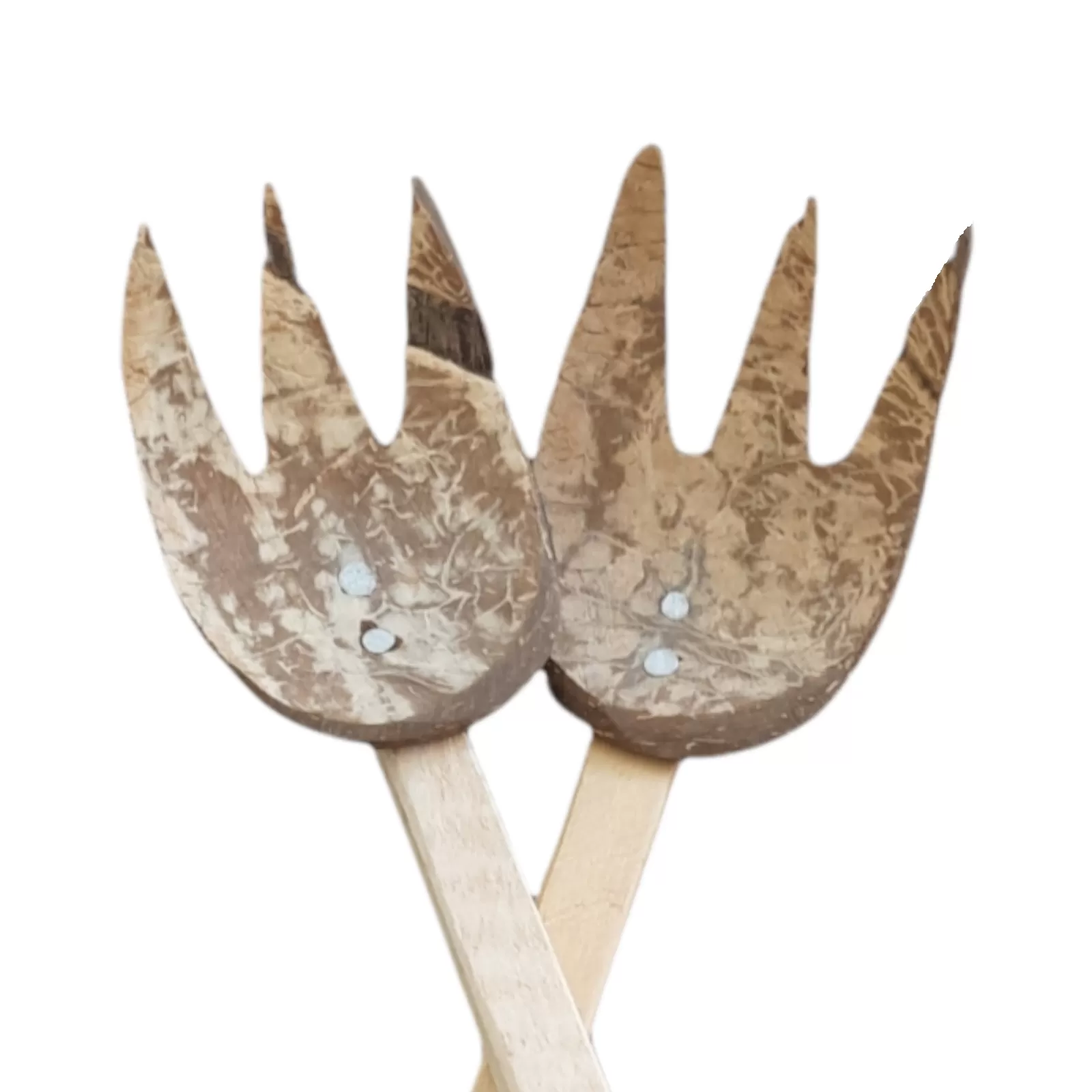 E&C Agro Coconut Scrape Noodle Spoon - image 2