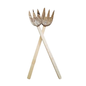 E&C Agro Coconut Scrape Noodle Spoon