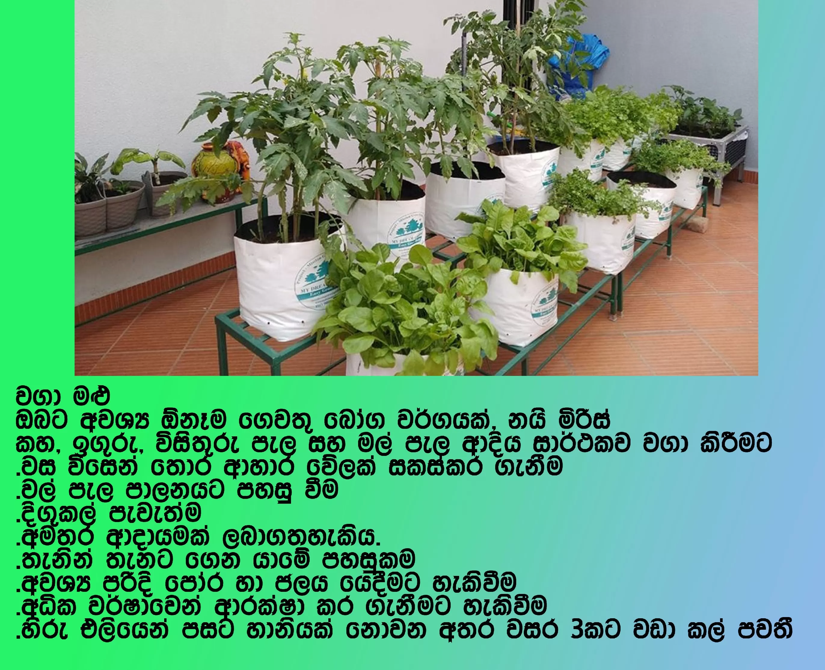 Planting Grow Bags UV Grow Bags 10 pcs 14x16 - image 3