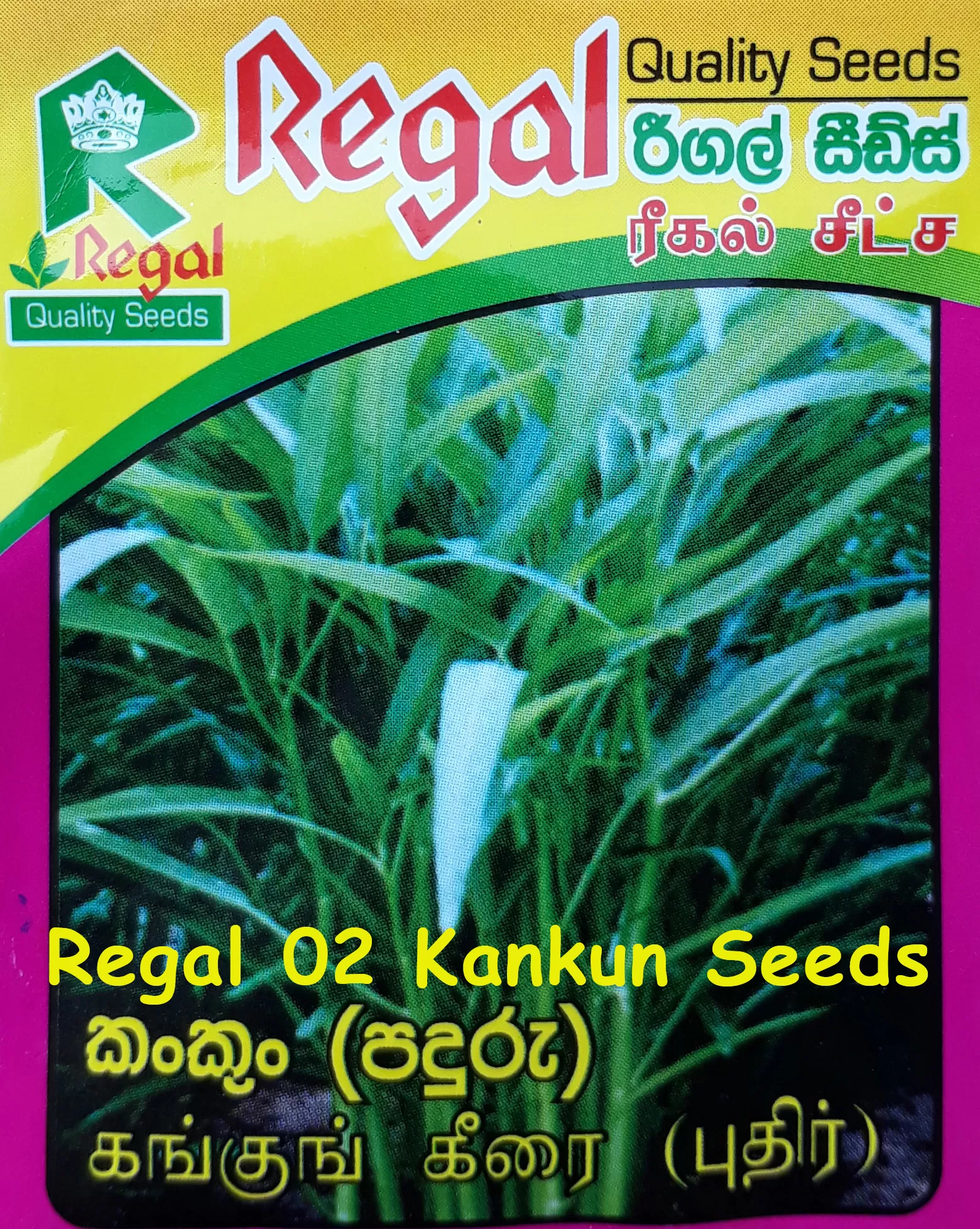 vegetable seeds - image 3