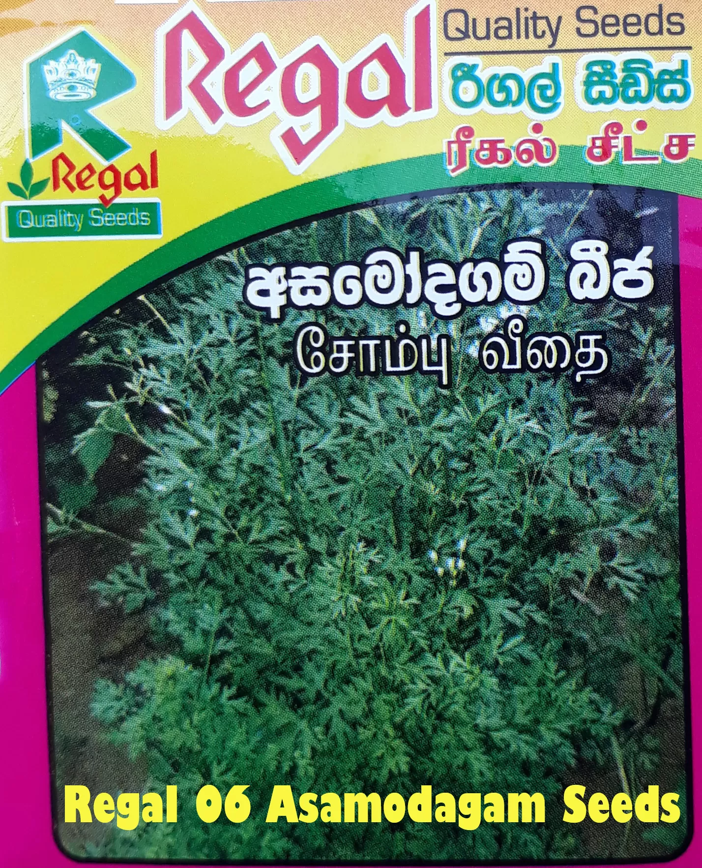 vegetable seeds - image 7