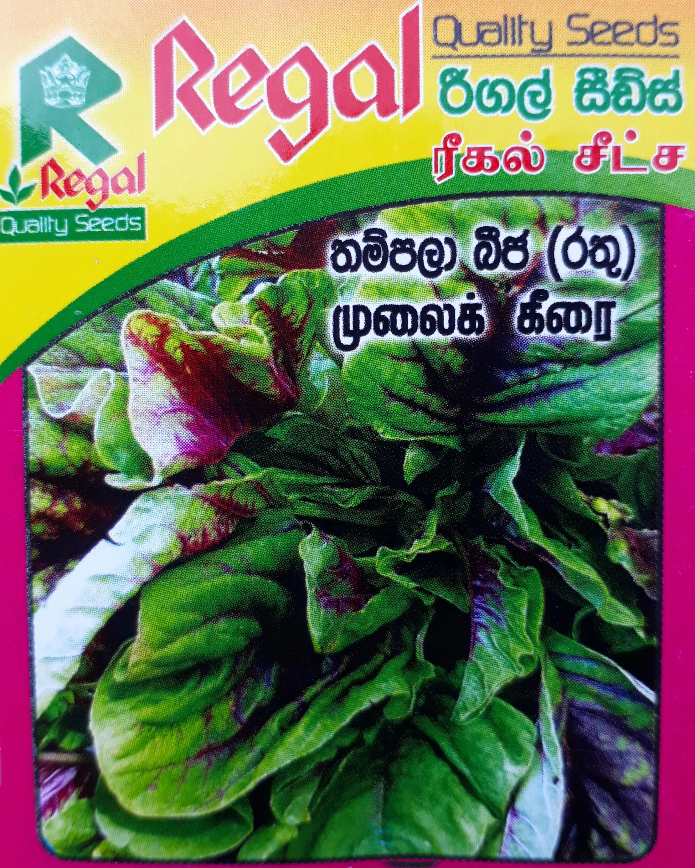 vegetable seeds - image 12