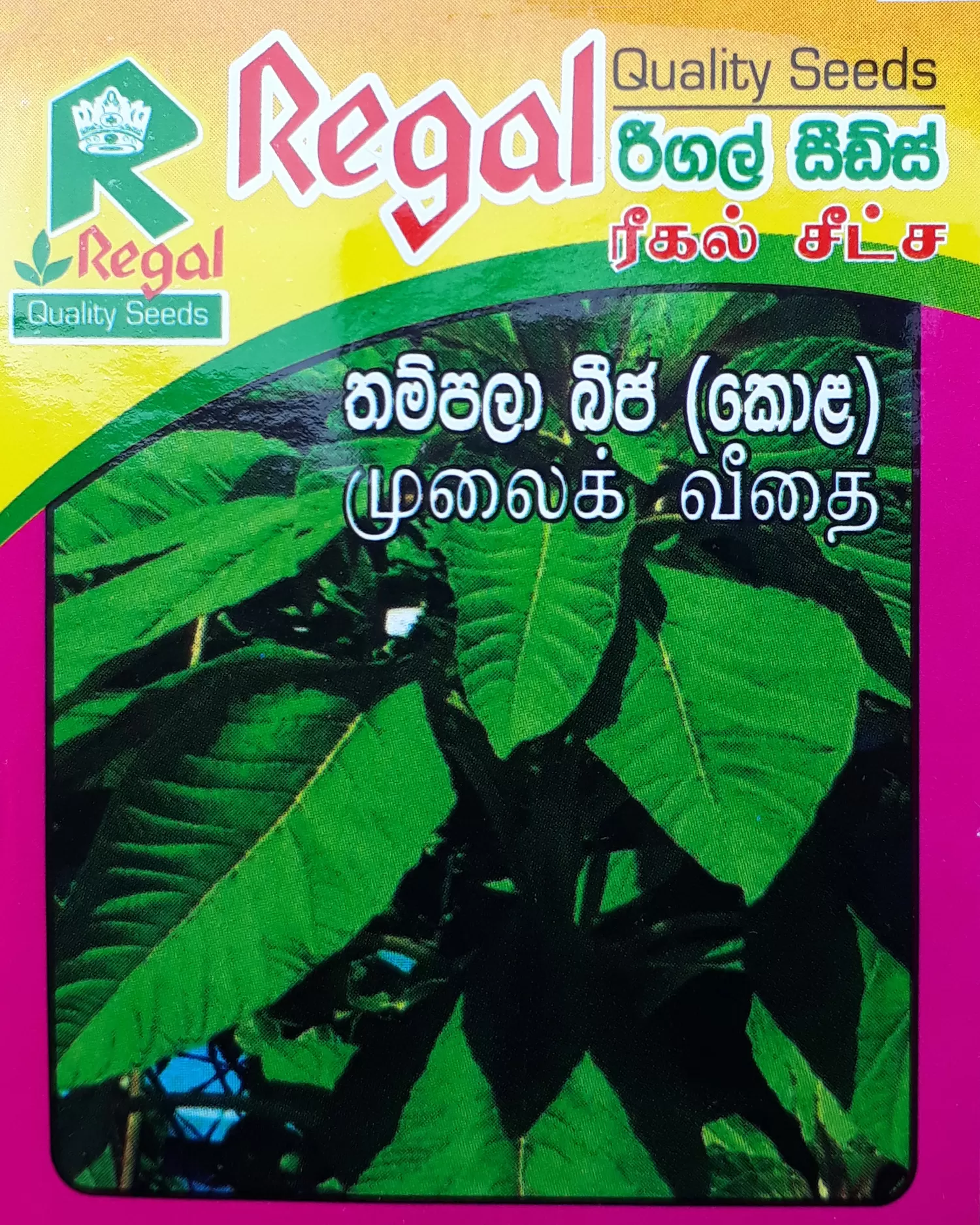 vegetable seeds - image 13