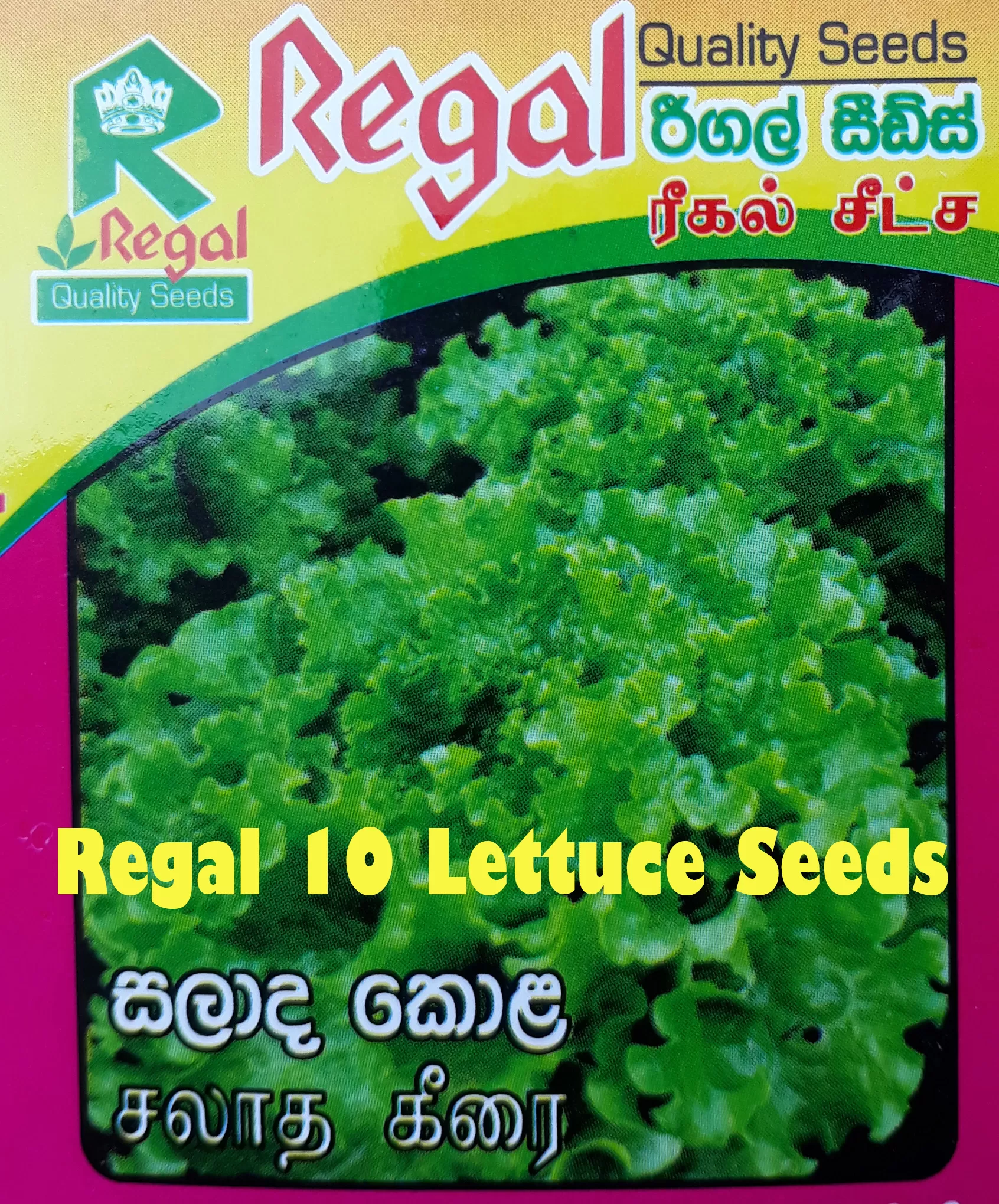 vegetable seeds - image 11