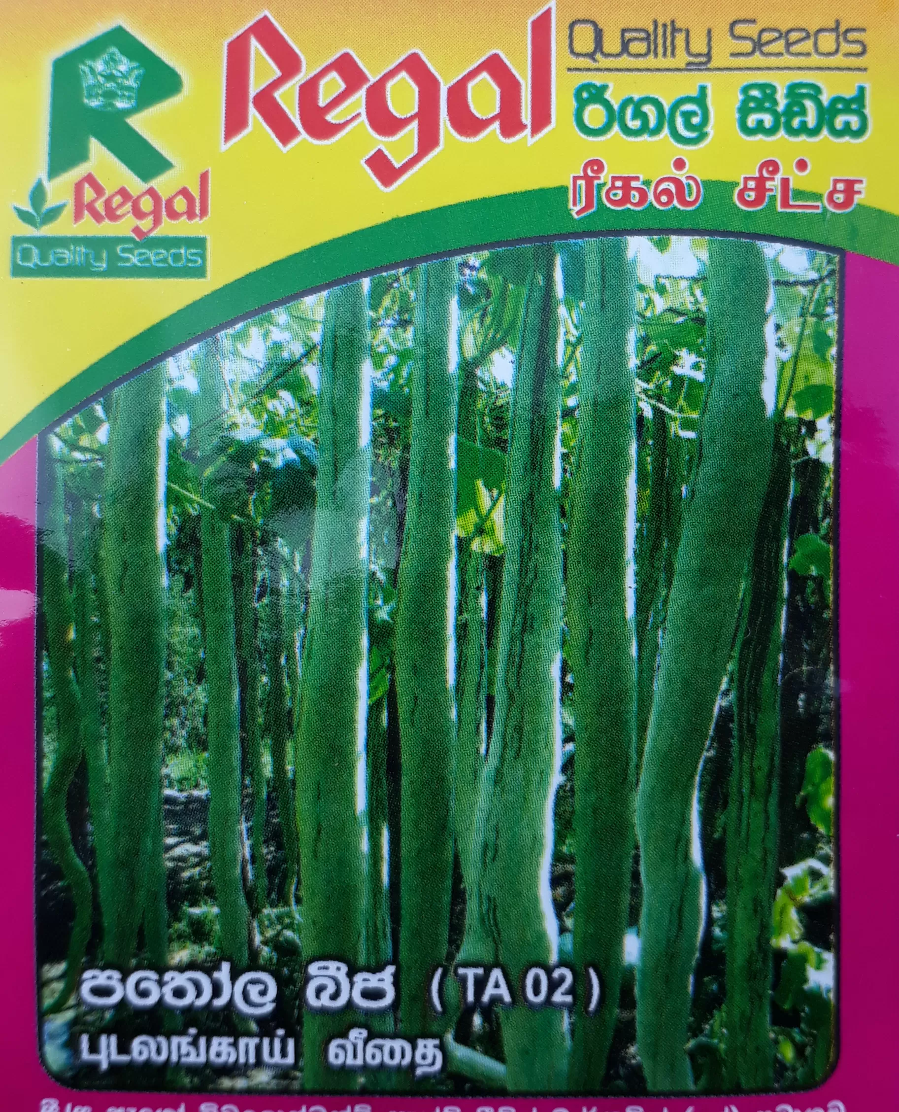 vegetable seeds - image 15