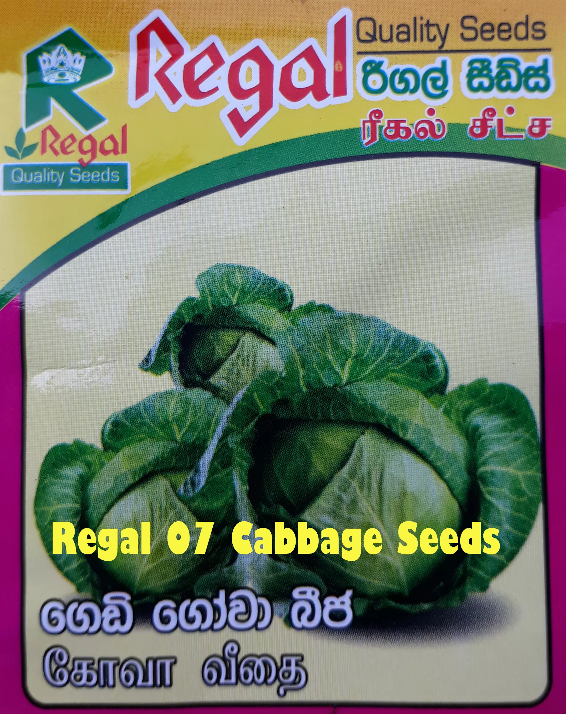 vegetable seeds - image 8