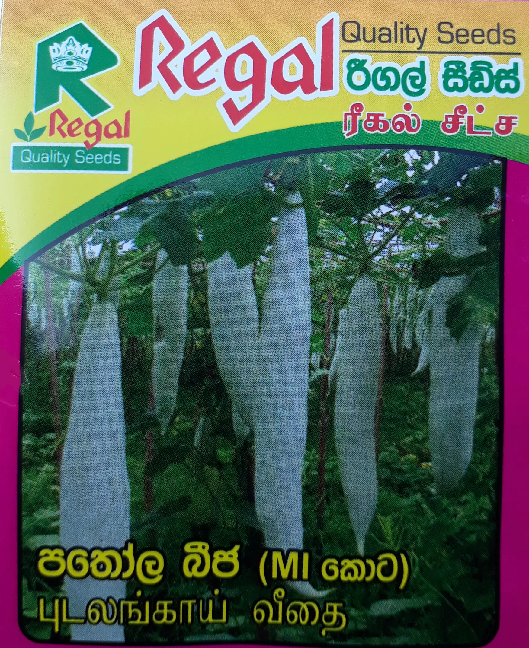 vegetable seeds - image 16