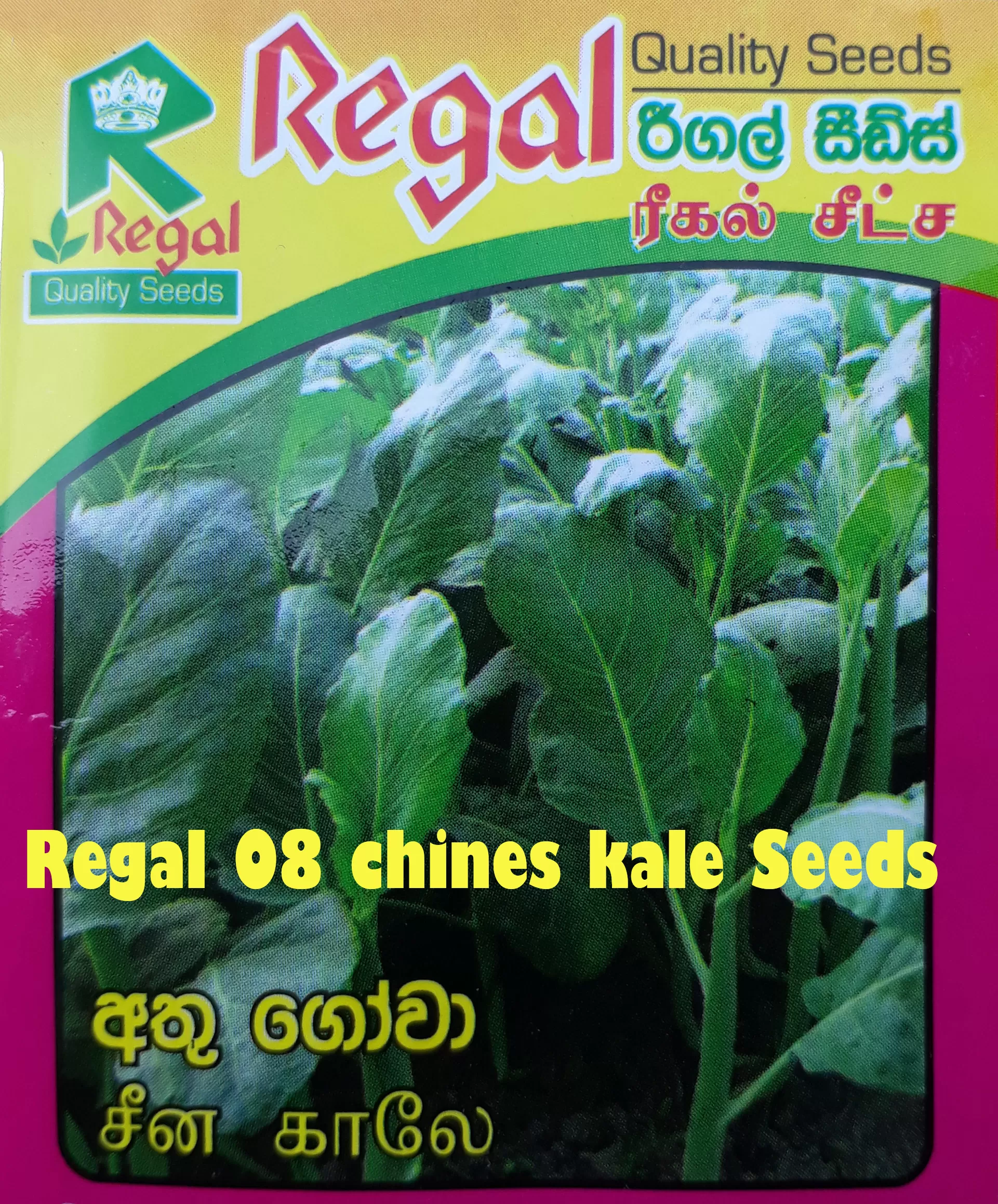vegetable seeds - image 9