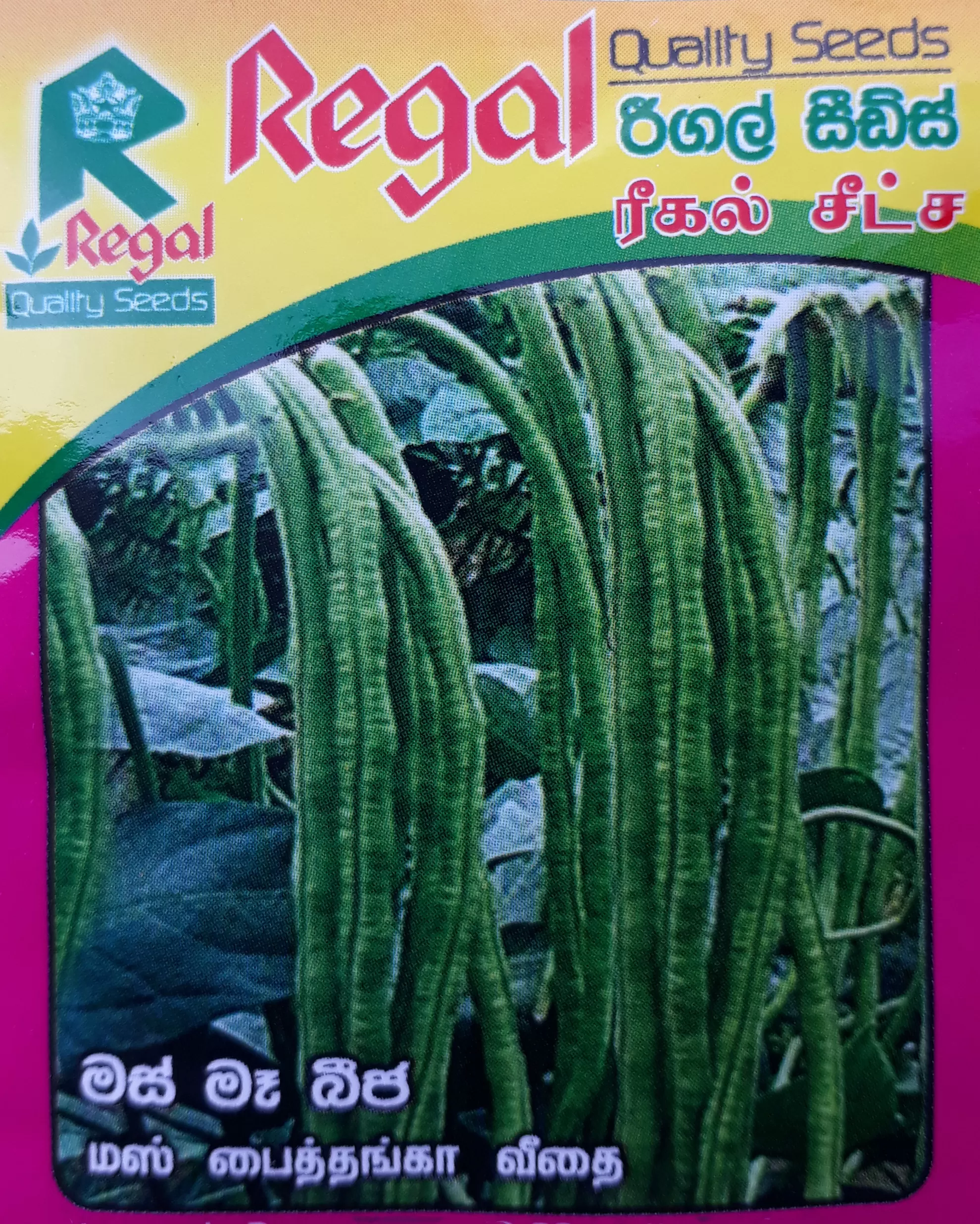 vegetable seeds - image 19