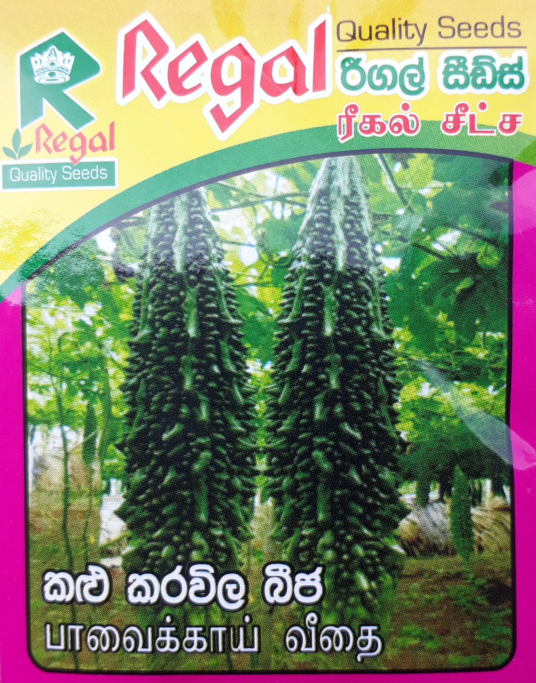 vegetable seeds - image 14