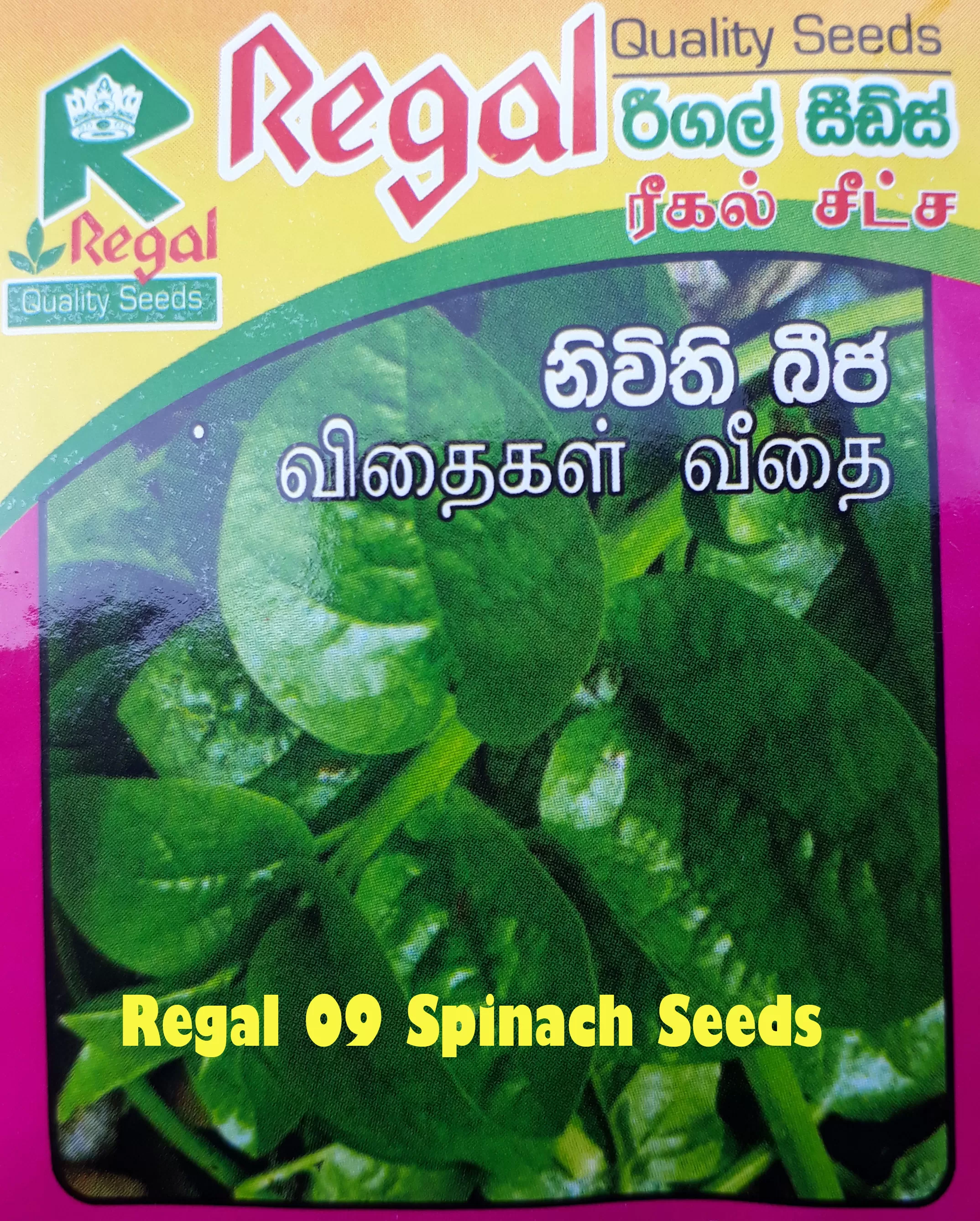 vegetable seeds - image 10
