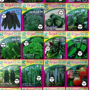 vegetable seeds