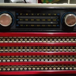 FM Radio MITSHU MRT-821BT