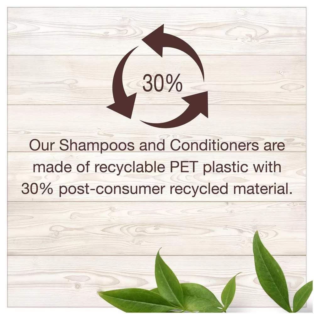Garnier Whole Blends Shampoo & Conditioner 370ml - image 2