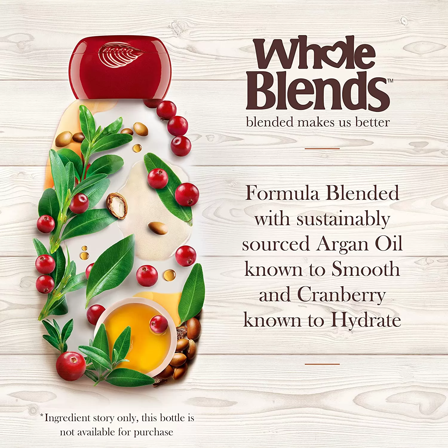 Garnier Whole Blends Shampoo & Conditioner 370ml - image 4