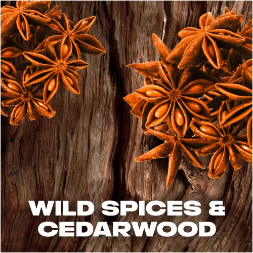 Axe Wild Spice Body Spray Deodorant 150ml Men Fragrance - image 3