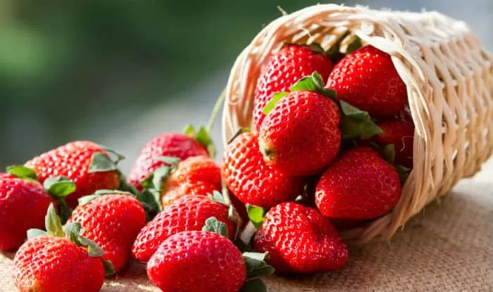 Lafresh Strawberry Face & Body Scrub 500ml Skin Care - image 5