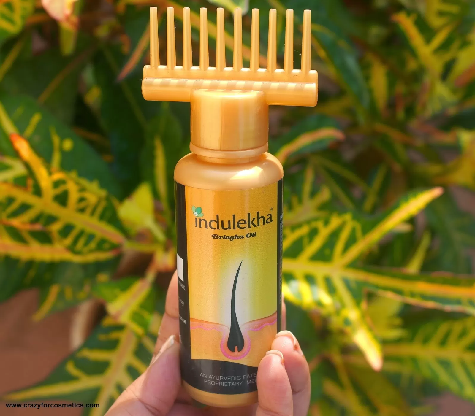 Indulekha Bringha Reduces Hair Fall Ayurvedic Oil 100ml - image 9
