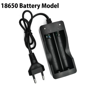 18650 Battery Charger 3.7V 220V Dual Charger