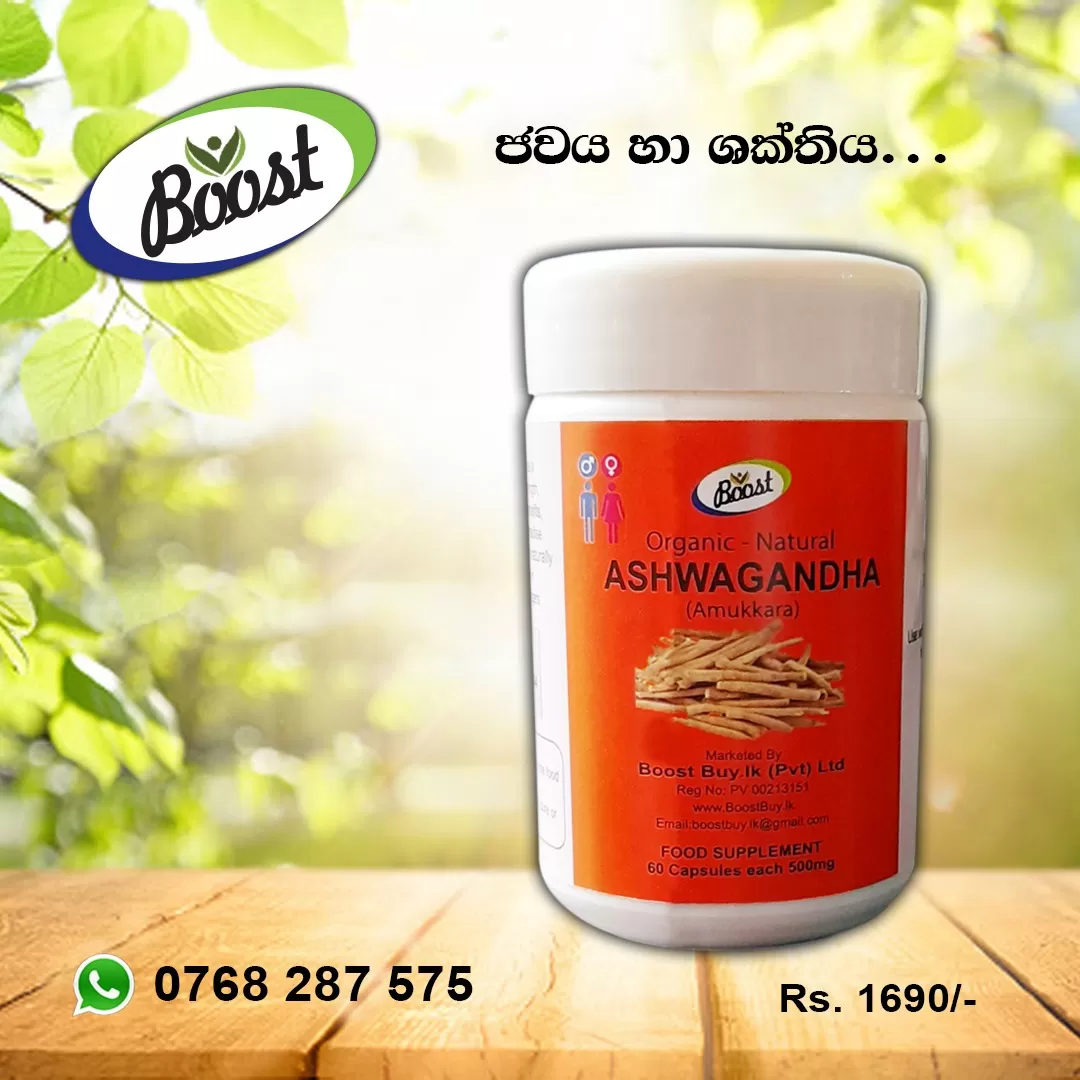 Ashwagandha Capsules Balances Stress, Maximum Strength - image 2