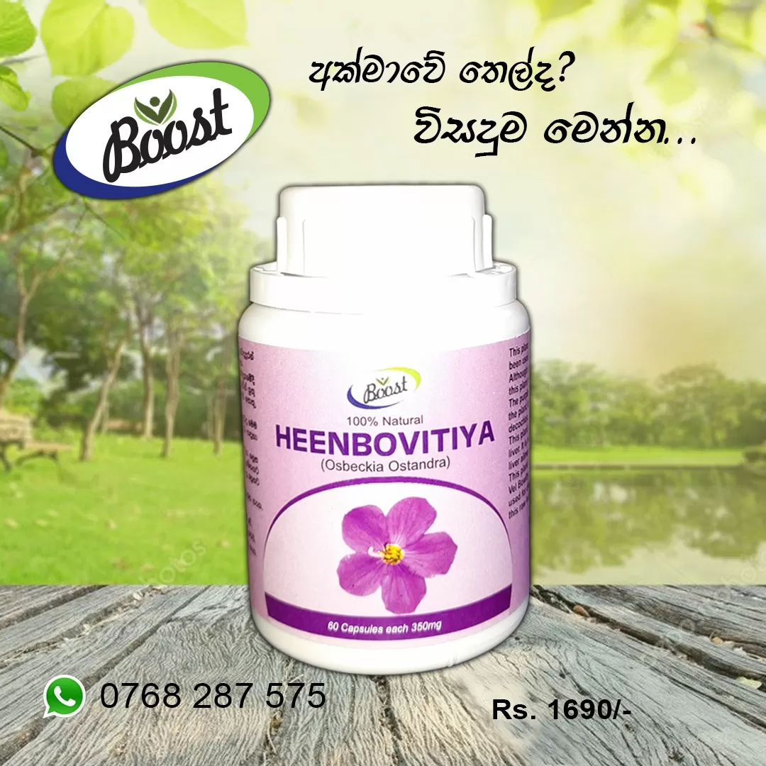 Osbeckia Octandra  Heen Bowitiya Immune Liver Protector - image 2