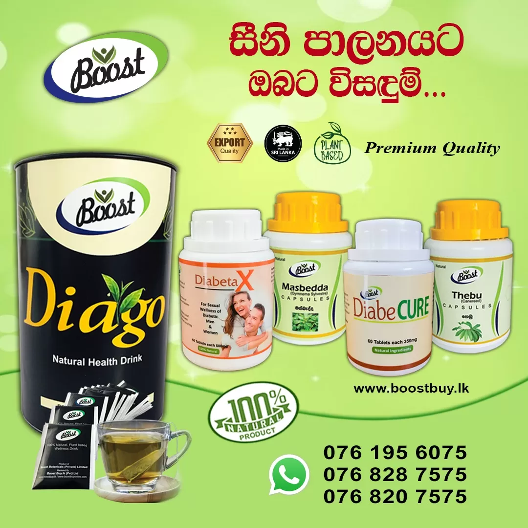 Thebu Natural Insulin Plant  -Regulating  Sugar Level - image 2