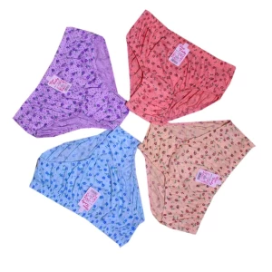 FINE LADY( XL SIZE ) 6 in 1 pack girls underwear Panty