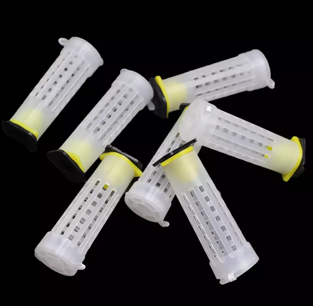 10 Pcs Plastic Queen Bee Rearing Cup Kit - image 1