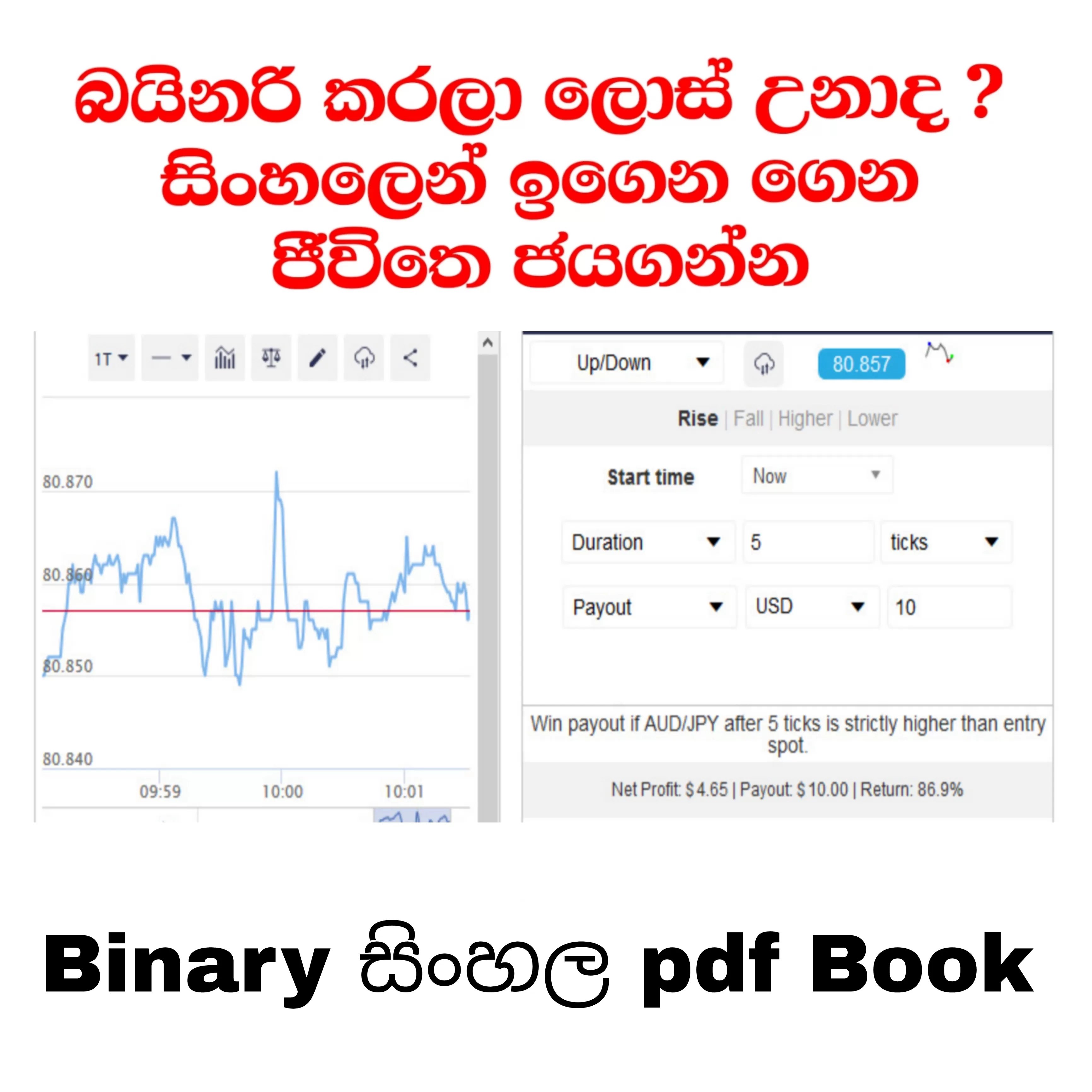 binary option sinhala pdf e-book | binary sinhala pdf - image 2