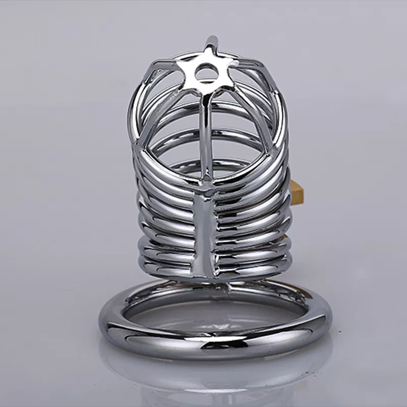 Bird Cage - image 5