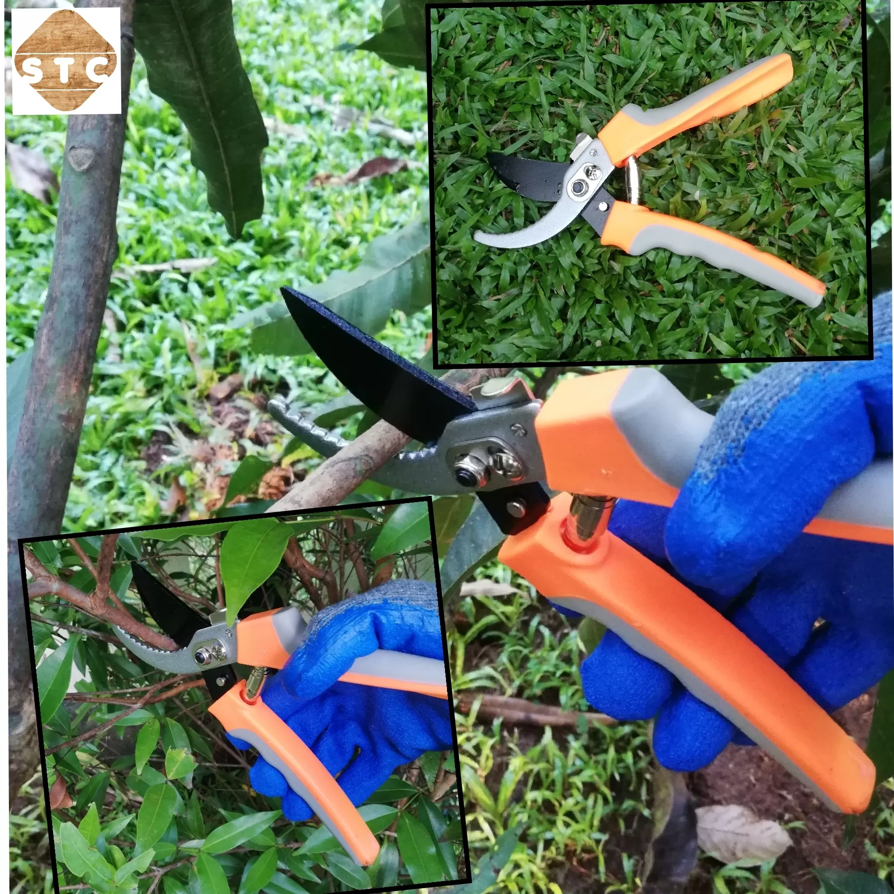 Garden tool pruning scissor prune shear - image 2