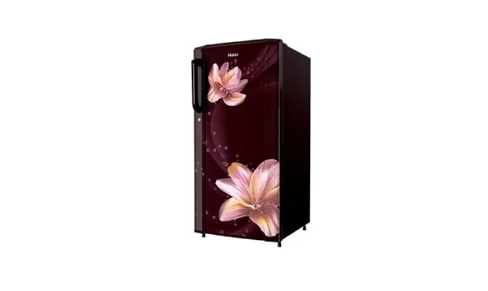 HAIER SINGLE DOOR REFRIGERATOR 190L -RED ERICA - image 3