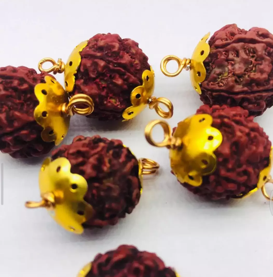 Rudraksha Pendant 1pcs