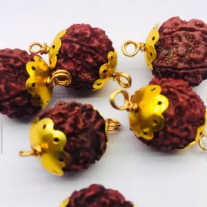 Rudraksha Pendant 1pcs