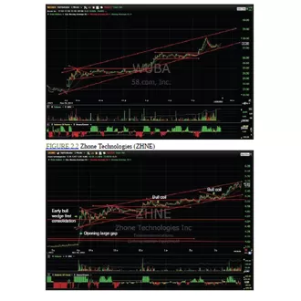 Trading Profitable Day and Swing Trading - image 2