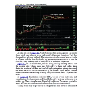 Trading Profitable Day and Swing Trading - image 3