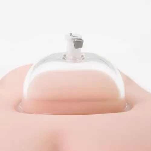 VAGINA CLITORAL NIPPLE BREAST VACUUM PUMP  XTOYS - image 7